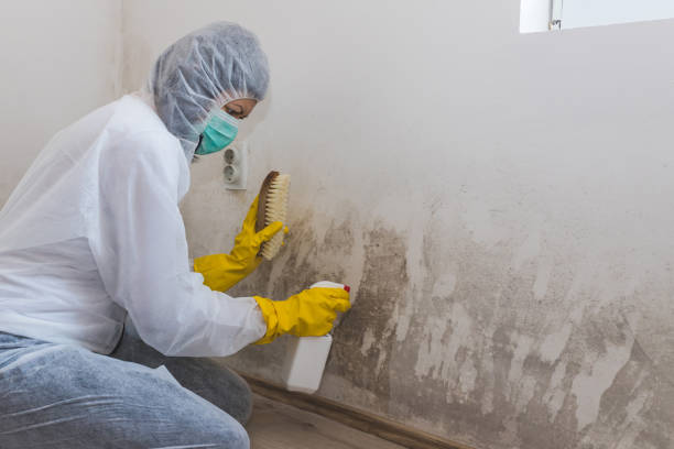 Pasatiempo, CA Mold Remediation Company