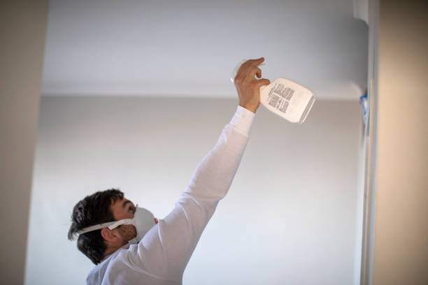 Pasatiempo, CA Mold Remediation Company