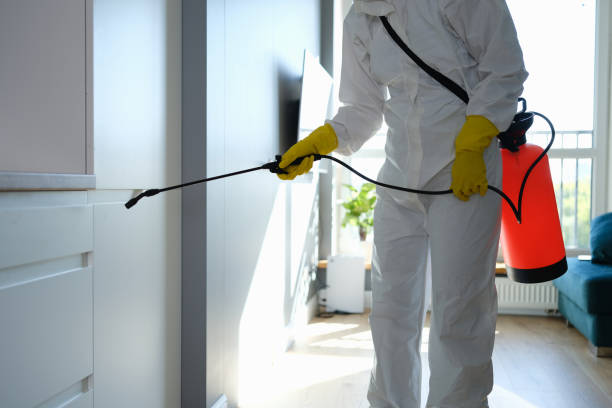 Best Attic Mold Remediation in Pasatiempo, CA