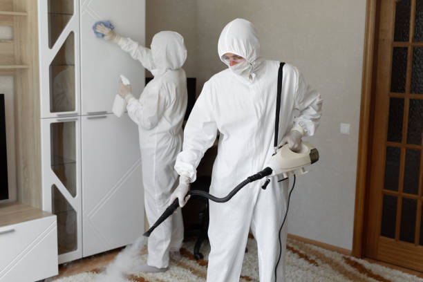 Best Post-Flood Mold Remediation in Pasatiempo, CA