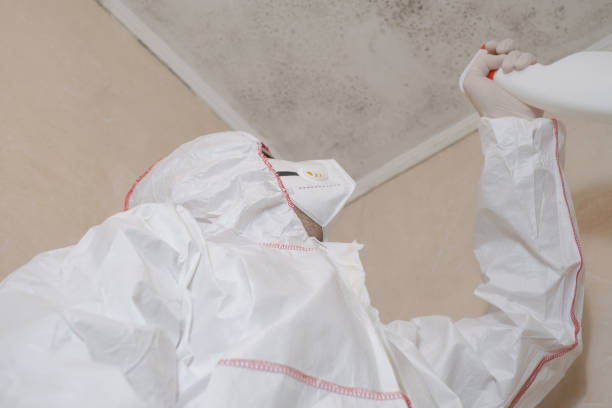 Best HVAC Mold Remediation in Pasatiempo, CA