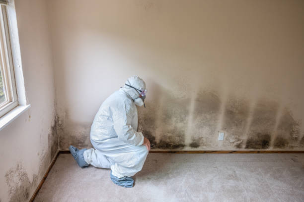 Best Bathroom Mold Remediation in Pasatiempo, CA